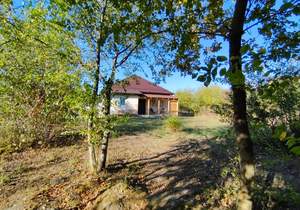 Дом 97м², 1-этажный, участок 8 сот.