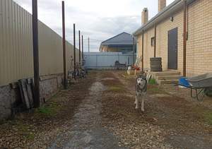 Дом 84м², 1-этажный, участок 3 сот.