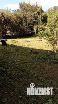 Дом 52м², 1-этажный, участок 6 сот.