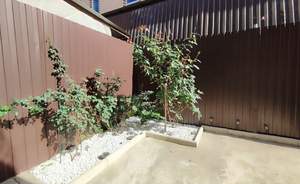 Дом 100м², 2-этажный, участок 1 сот.