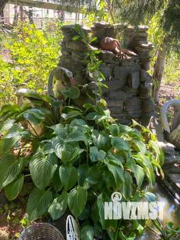 Дом 36м², 2-этажный, участок 8 сот.