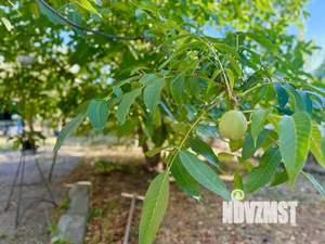 Дача 58м², 1-этажный, участок 6 сот.