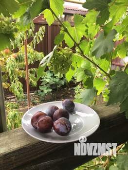 Коттедж 107м², 2-этажный, участок 3 сот.