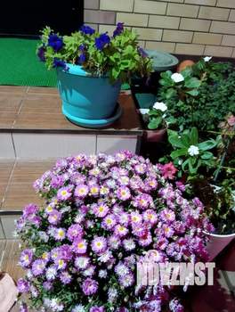 Дом 140м², 2-этажный, участок 3 сот.