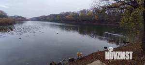 Дом 135м², 1-этажный, участок 13 сот.