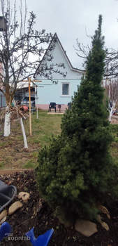 Дом 40м², 1-этажный, участок 4 сот.