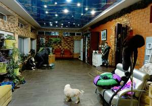 Дом 156м², 1-этажный, участок 6 сот.