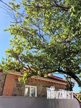 Дом 42м², 1-этажный, участок 1 сот.