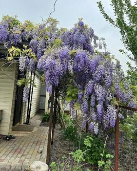 Дом 20м², 1-этажный, участок 6 сот.