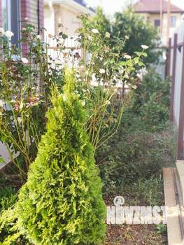 Дом 64м², 1-этажный, участок 3 сот.