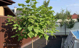 Дом 160м², 2-этажный, участок 6 сот.