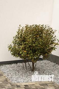 Коттедж 240м², 2-этажный, участок 4 сот.