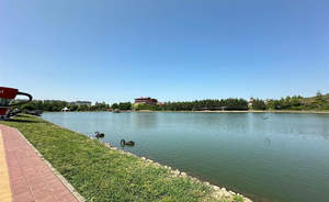 Дом 260м², 2-этажный, участок 4 сот.