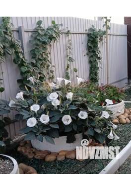 Дом 120м², 1-этажный, участок 4 сот.