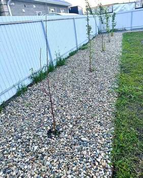 Дом 71м², 1-этажный, участок 3 сот.