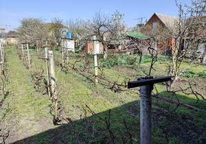 Дом 31м², 1-этажный, участок 12 сот.