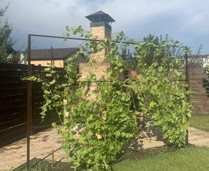 Дом 106м², 1-этажный, участок 6 сот.