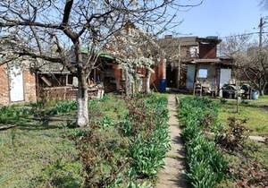 Дом 31м², 1-этажный, участок 12 сот.