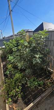 Дом 105м², 1-этажный, участок 3 сот.