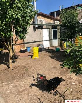 Дом 50м², 1-этажный, участок 5 сот.