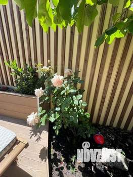 Дом 235м&sup2;, 2-этажный, на длительный срок, 