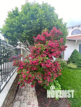 Дом 395м&sup2;, 2-этажный, на длительный срок, 