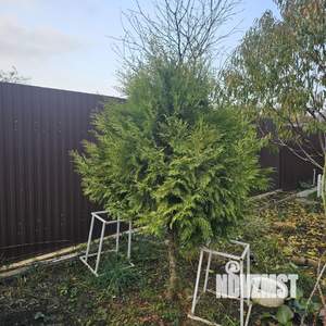 Дом 90м&sup2;, 1-этажный, на длительный срок, 