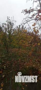 Дом 52м&sup2;, 1-этажный, на длительный срок, 