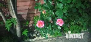 Дом 800м&sup2;, 2-этажный, посуточно, 