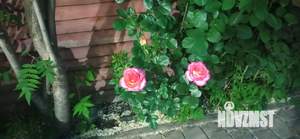 Дом 800м², 2-этажный, посуточно, 