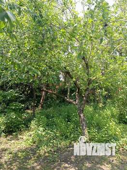 Дом 35м&sup2;, 1-этажный, на длительный срок, 