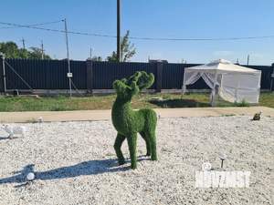 Дом 50м&sup2;, 1-этажный, посуточно, 