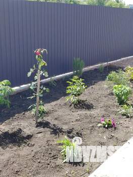 Дом 90м², 1-этажный, посуточно, 