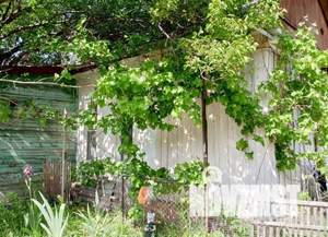 Дом 57м², 1-этажный, на длительный срок, 