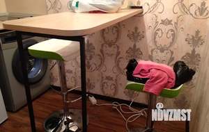 Дом 20м², 1-этажный, на длительный срок, 
