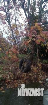 Дом 52м&sup2;, 1-этажный, на длительный срок, 