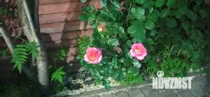 Дом 800м&sup2;, 2-этажный, посуточно, 