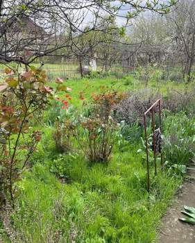 Дом 31м&sup2;, 1-этажный, участок 6 сот.  