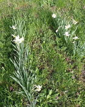 Дом 20м&sup2;, 1-этажный, участок 6 сот.  