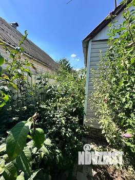 Дом 50м&sup2;, 1-этажный, участок 3 сот.  