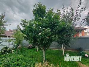 Дом 141м², 2-этажный, участок 6 сот.  