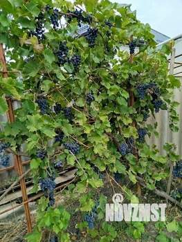 Дом 88м&sup2;, 2-этажный, участок 8 сот.  