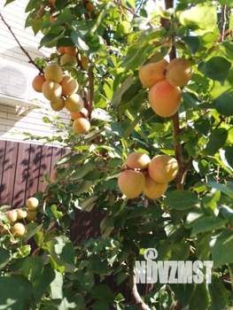 Дом 128м&sup2;, 2-этажный, участок 6 сот.  