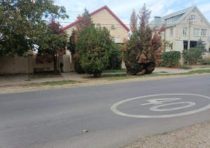 Дом 275м&sup2;, 2-этажный, участок 10 сот.  