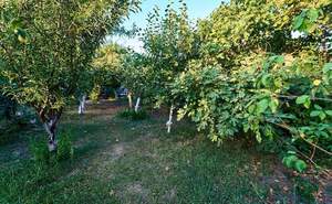 Дом 341м², 3-этажный, участок 14 сот.  