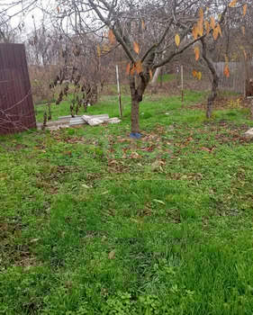 Дом 117м&sup2;, 2-этажный, участок 6 сот.  