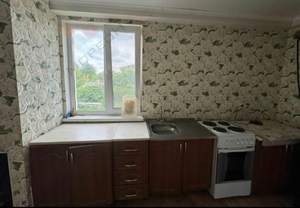 Дом 52м&sup2;, 1-этажный, участок 4 сот.  