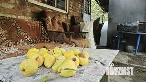 Дом 45м&sup2;, 1-этажный, участок 6 сот.  