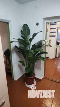 Дом 45м², 1-этажный, участок 8 сот.  