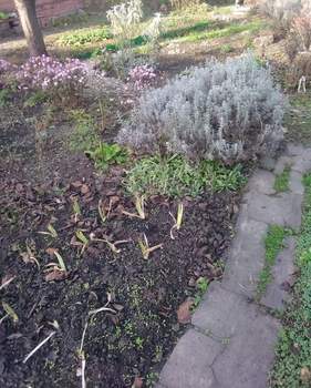 Дом 39м&sup2;, 2-этажный, участок 4 сот.  